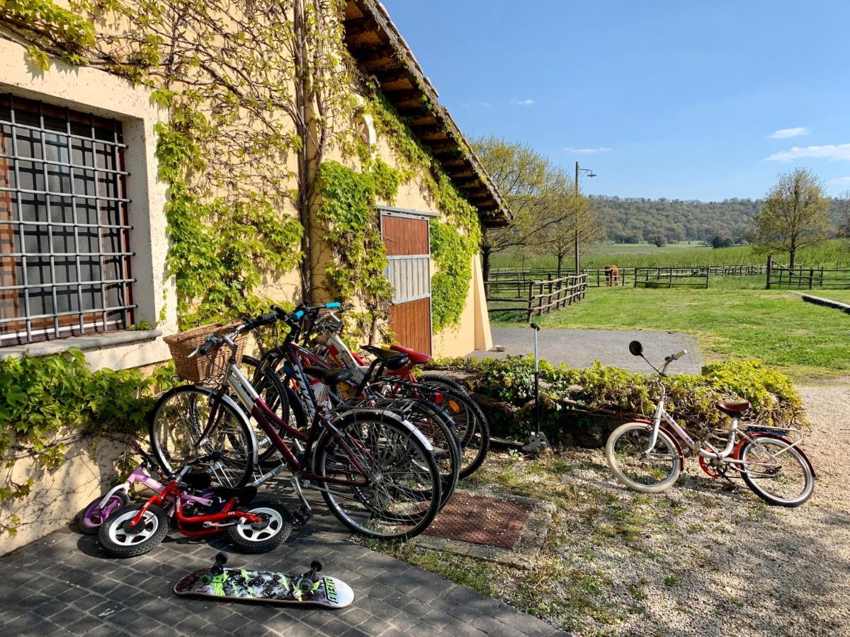Agriturismo Potrero Grande Sul Lago Di Martignano Con Spiaggia Campagnano Di Roma Exterior photo