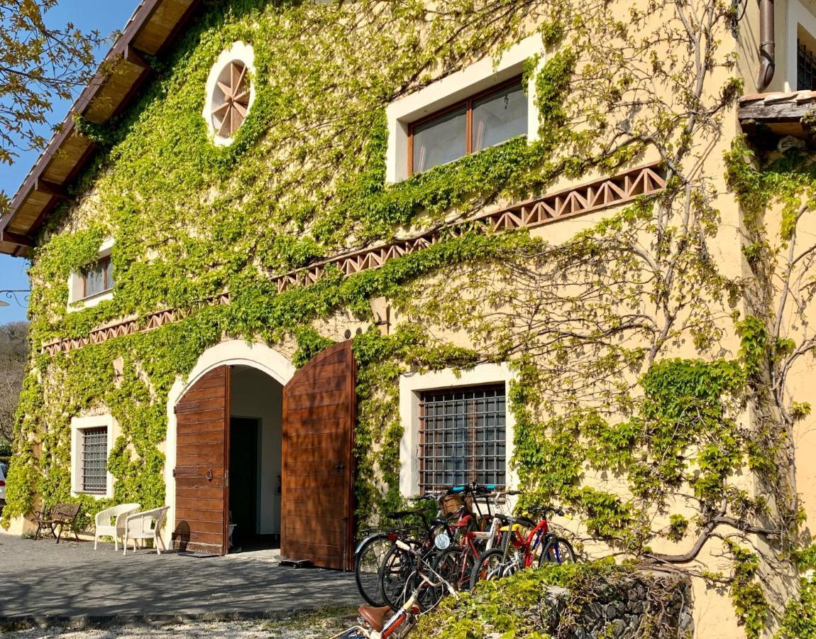 Agriturismo Potrero Grande Sul Lago Di Martignano Con Spiaggia Campagnano Di Roma Exterior photo