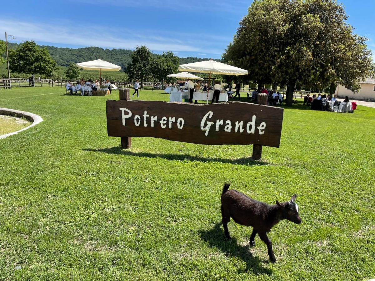 Agriturismo Potrero Grande Sul Lago Di Martignano Con Spiaggia Campagnano Di Roma Exterior photo