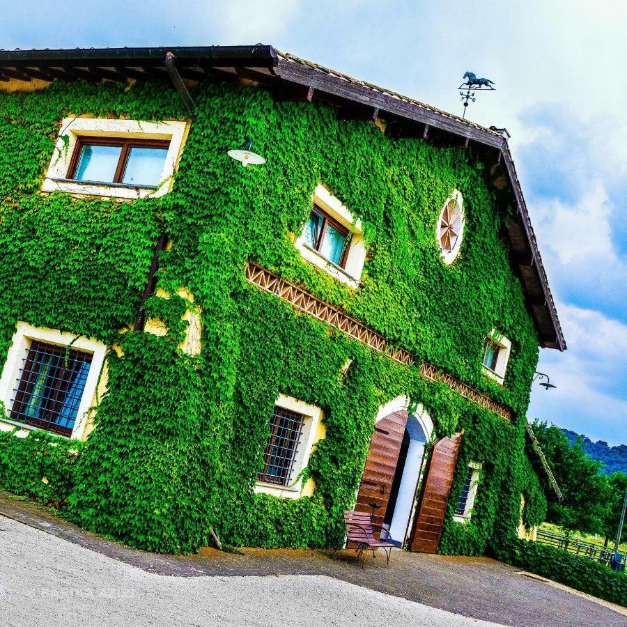 Agriturismo Potrero Grande Sul Lago Di Martignano Con Spiaggia Campagnano Di Roma Exterior photo